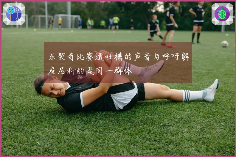 东契奇比赛遭吐槽的声音与呼吁解雇尼科的是同一群体