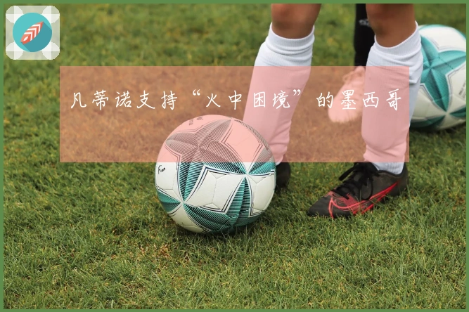 凡蒂诺支持“火中困境”的墨西哥